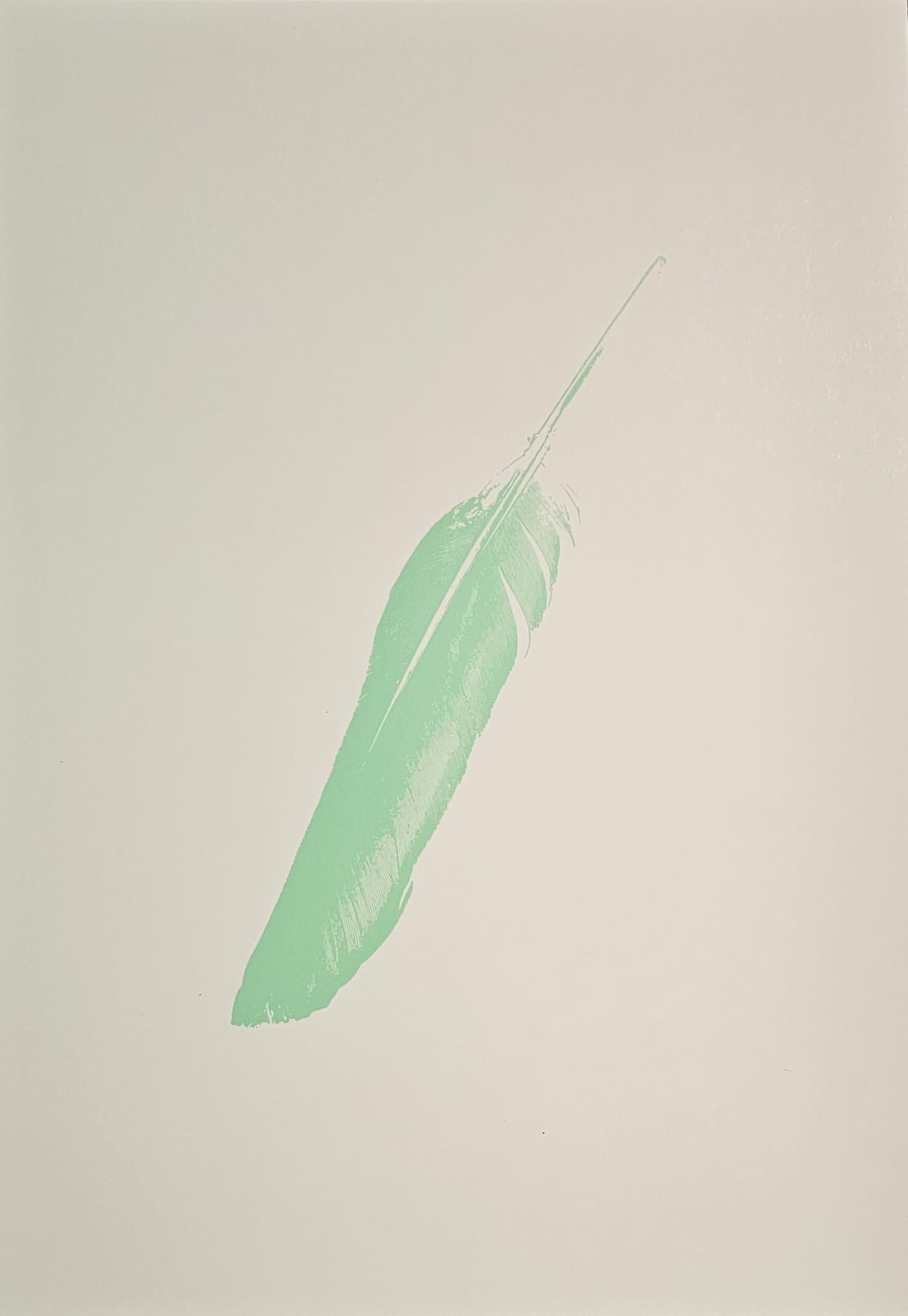 FINE FEATHERS