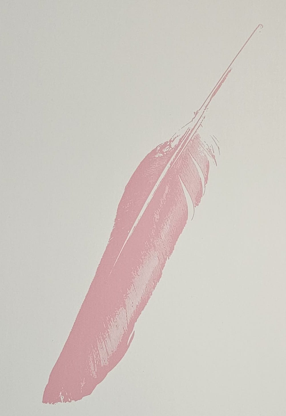 FINE FEATHERS