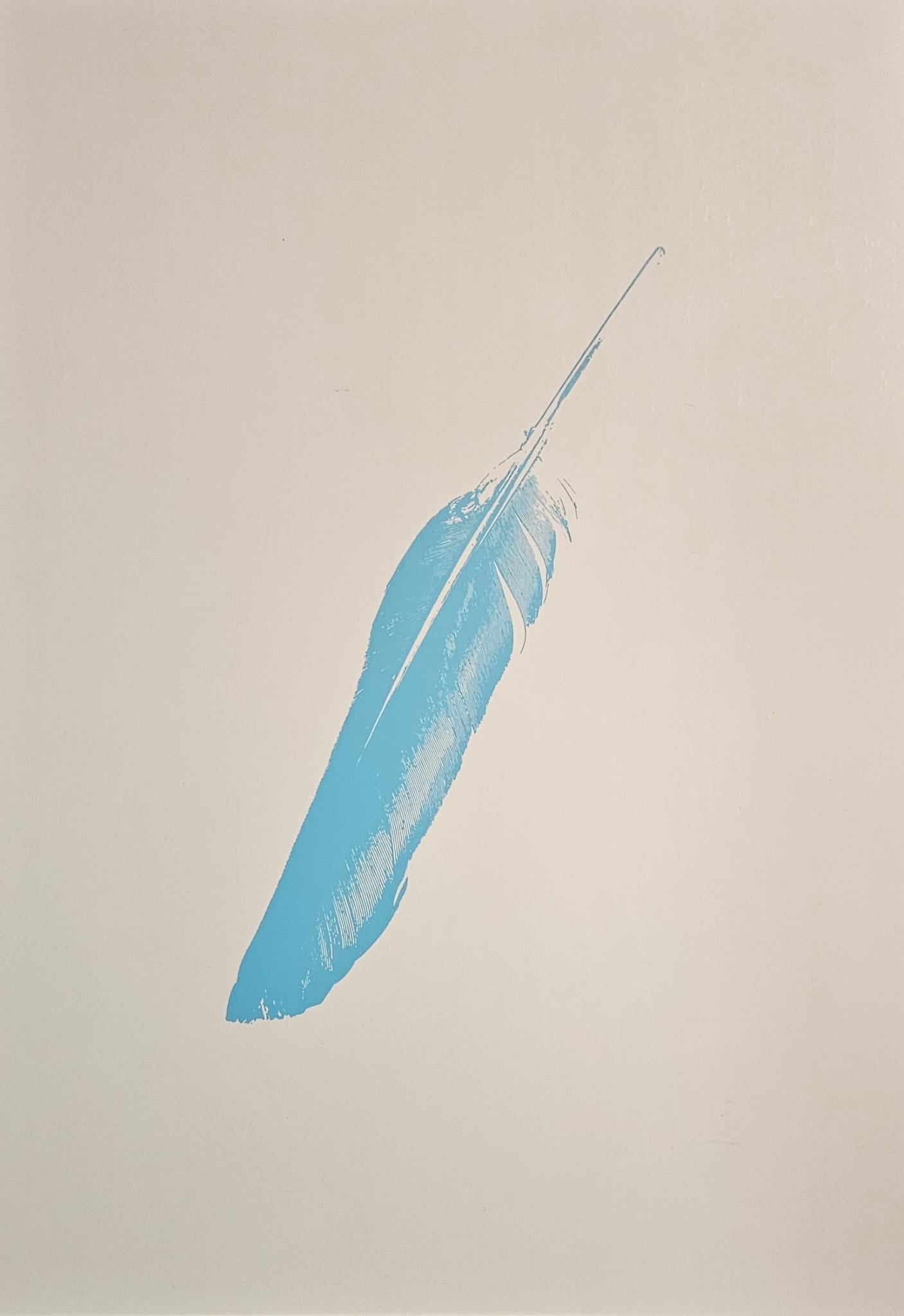 FINE FEATHERS